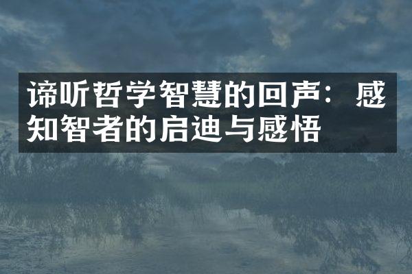 谛听哲学智慧的回声：感知智者的启迪与感悟