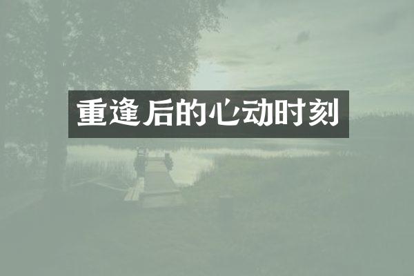 重逢后的心动时刻