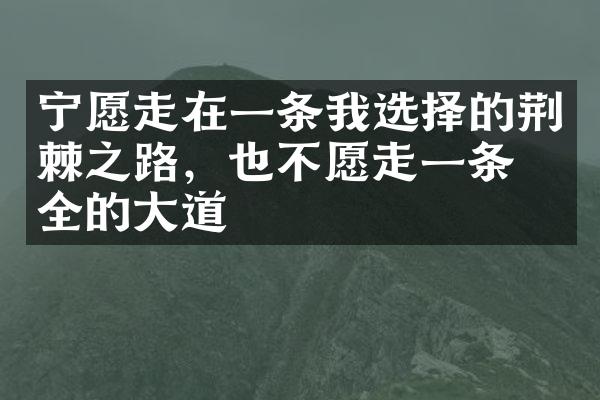 宁愿走在一条我选择的荆棘之路，也不愿走一条安全的大道