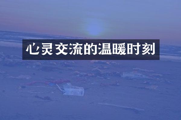 心灵交流的温暖时刻