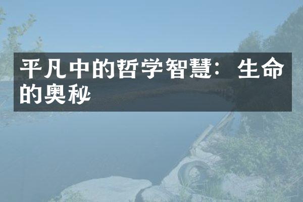 平凡中的哲学智慧：生命的奥秘