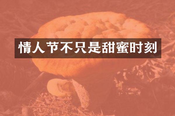 情人节不只是甜蜜时刻