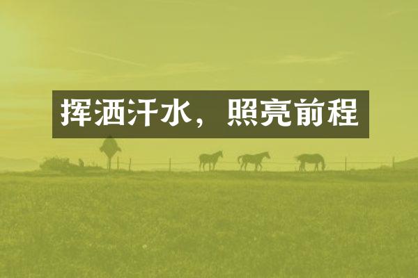 挥洒汗水，照亮前程