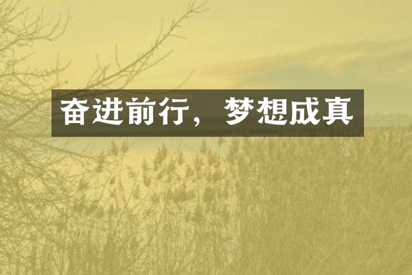 奋进前行，梦想成真