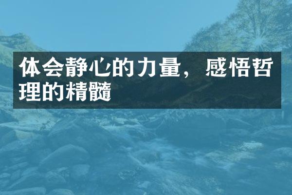 体会静心的力量，感悟哲理的精髓