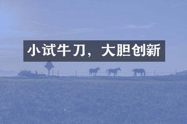 小试牛刀，大胆创新
