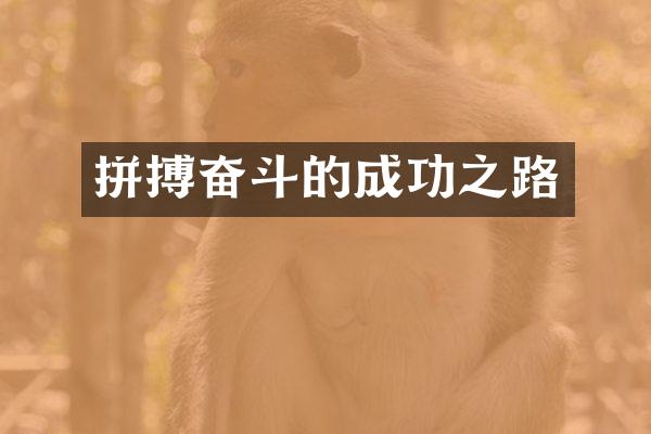 拼搏奋斗的成功之路