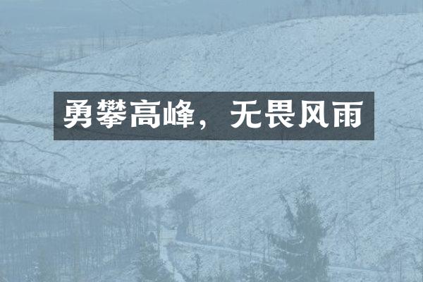 勇攀高峰，无畏风雨