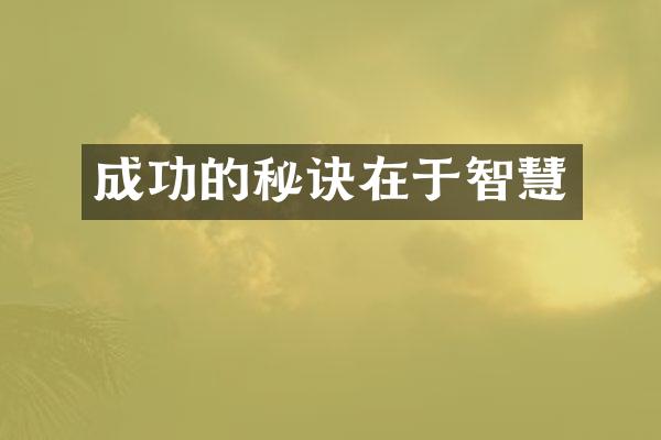 成功的秘诀在于智慧