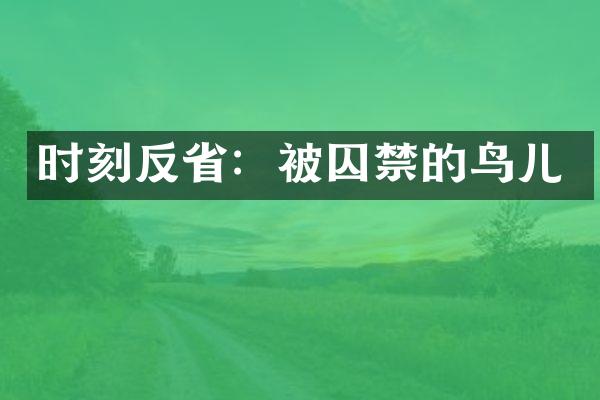 时刻反：被囚禁的鸟儿