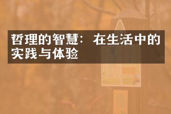 哲理的智慧：在生活中的实践与体验