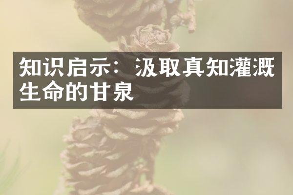 知识启示：汲取真知灌溉生命的甘泉