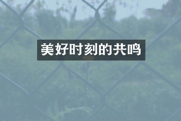 美好时刻的共鸣