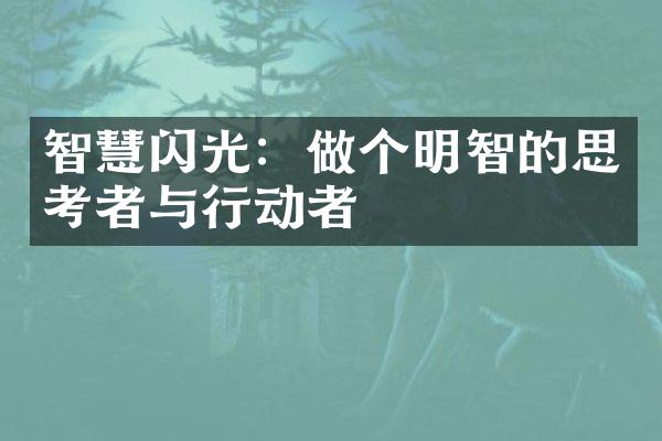 智慧闪光：做个明智的思考者与行动者