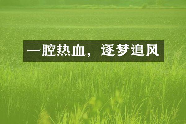 一腔热血，逐梦追风