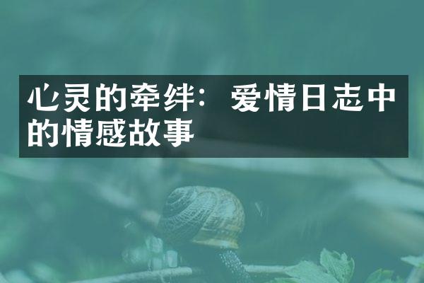 心灵的牵绊：爱情日志中的情感故事