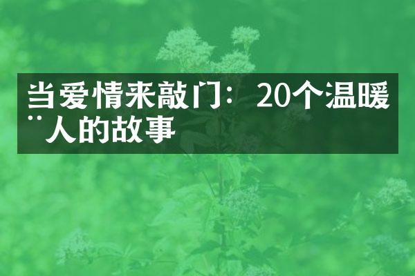 当爱情来敲门：20个温暖动人的故事