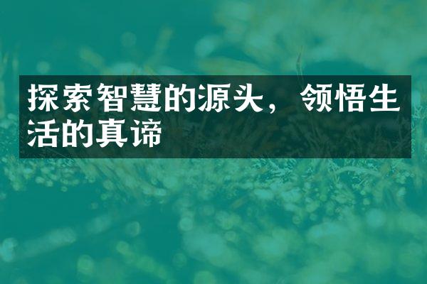 探索智慧的源头，领悟生活的真谛