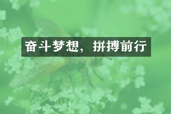 奋斗梦想，拼搏前行