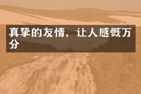 真挚的友情，让人感慨万分