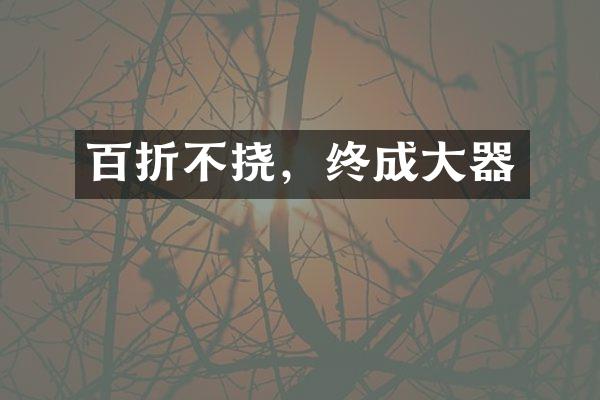 百折不挠，终成大器