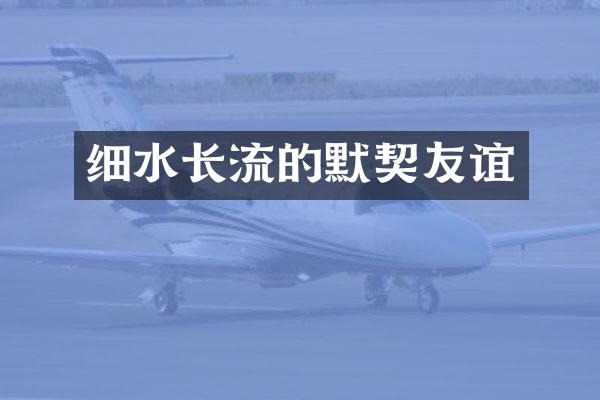 细水长流的默契友谊