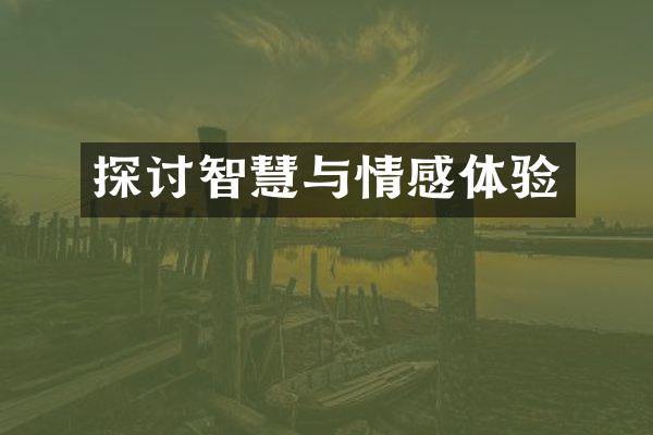探讨智慧与情感体验