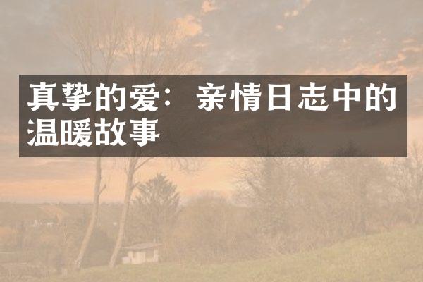 真挚的爱：亲情日志中的温暖故事