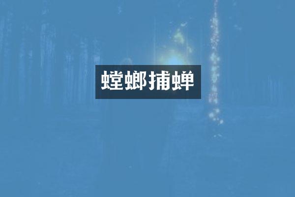 螳螂捕蝉