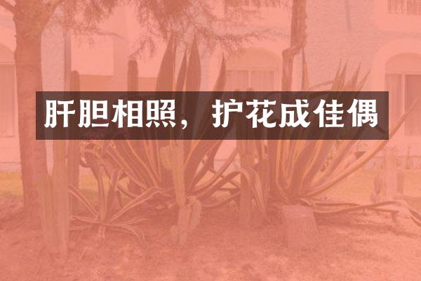 肝胆相照，护花成佳偶