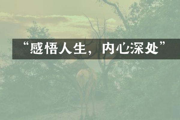“感悟人生，内心深处”