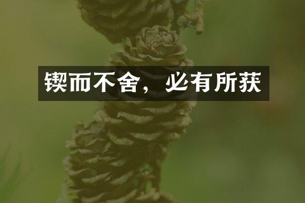 锲而不舍，必有所获