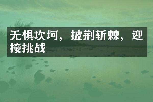 无惧坎坷，披荆斩棘，迎接挑战