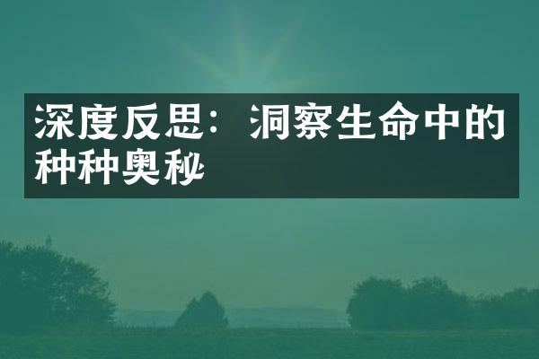 深度反思：洞察生命中的种种奥秘