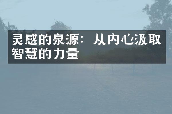 灵感的泉源：从内心汲取智慧的力量