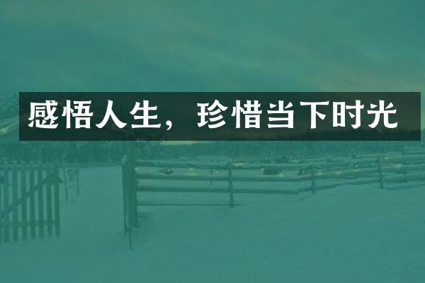 感悟人生，珍惜当下时光