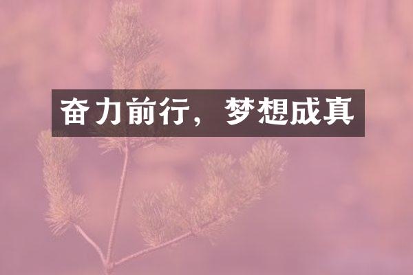 奋力前行，梦想成真