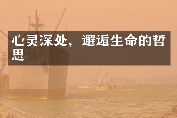心灵深处，邂逅生命的哲思