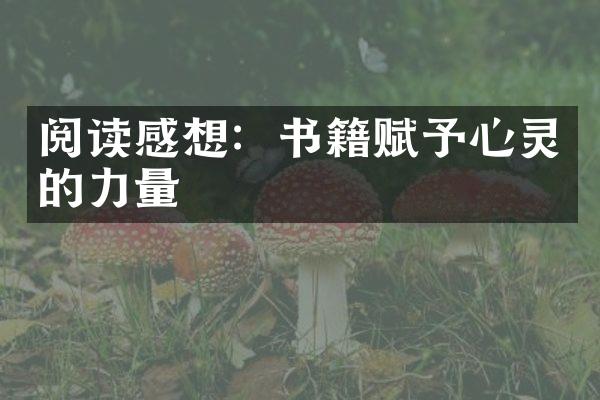 阅读感想：书籍赋予心灵的力量