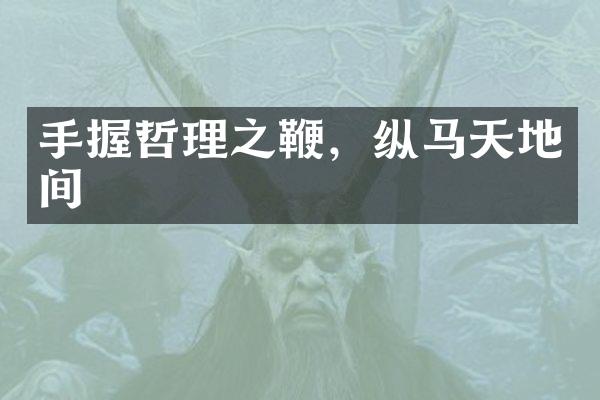 手握哲理之鞭，纵马天地间