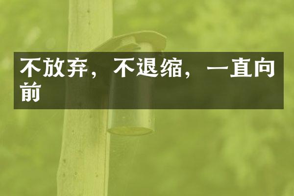 不放弃，不退缩，一直向前