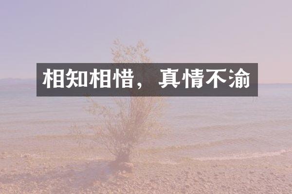 相知相惜，真情不渝