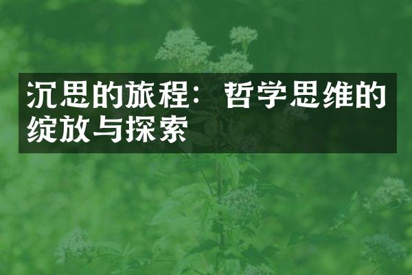 沉思的旅程：哲学思维的绽放与探索