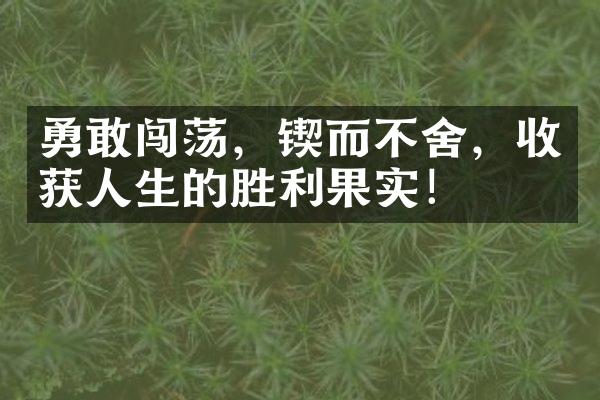 勇敢闯荡，锲而不舍，收获人生的胜利果实！