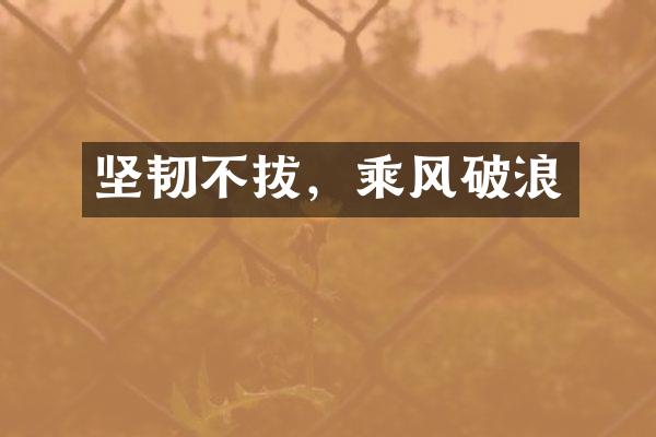 坚韧不拔，乘风破浪