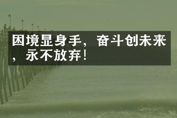 困境显身手，奋斗创未来，永不放弃！