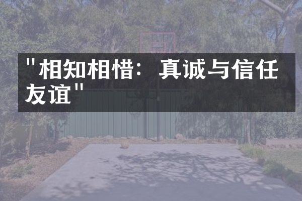 "相知相惜：真诚与信任的友谊"