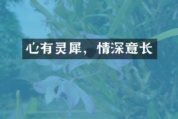 心有灵犀，情深意长