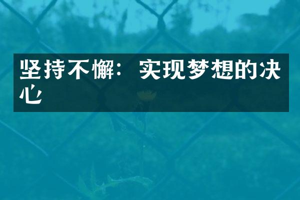 坚持不懈：实现梦想的决心