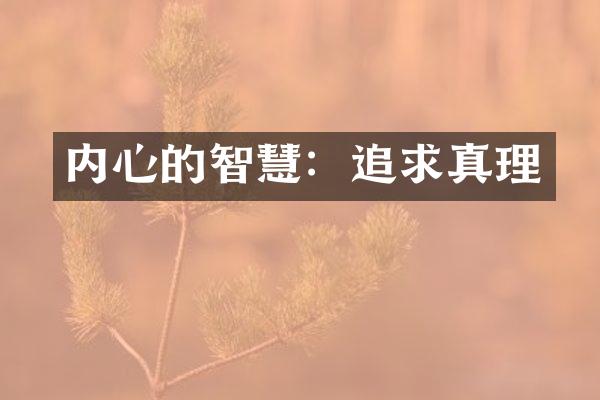 内心的智慧：追求真理